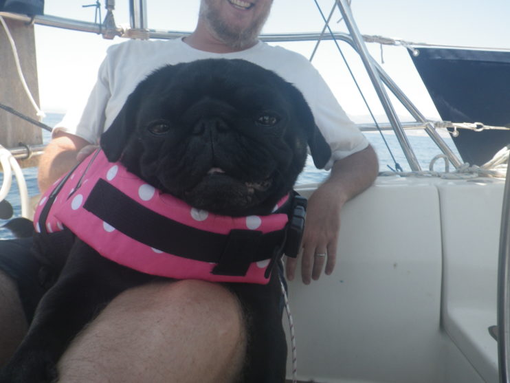 Pug op boot